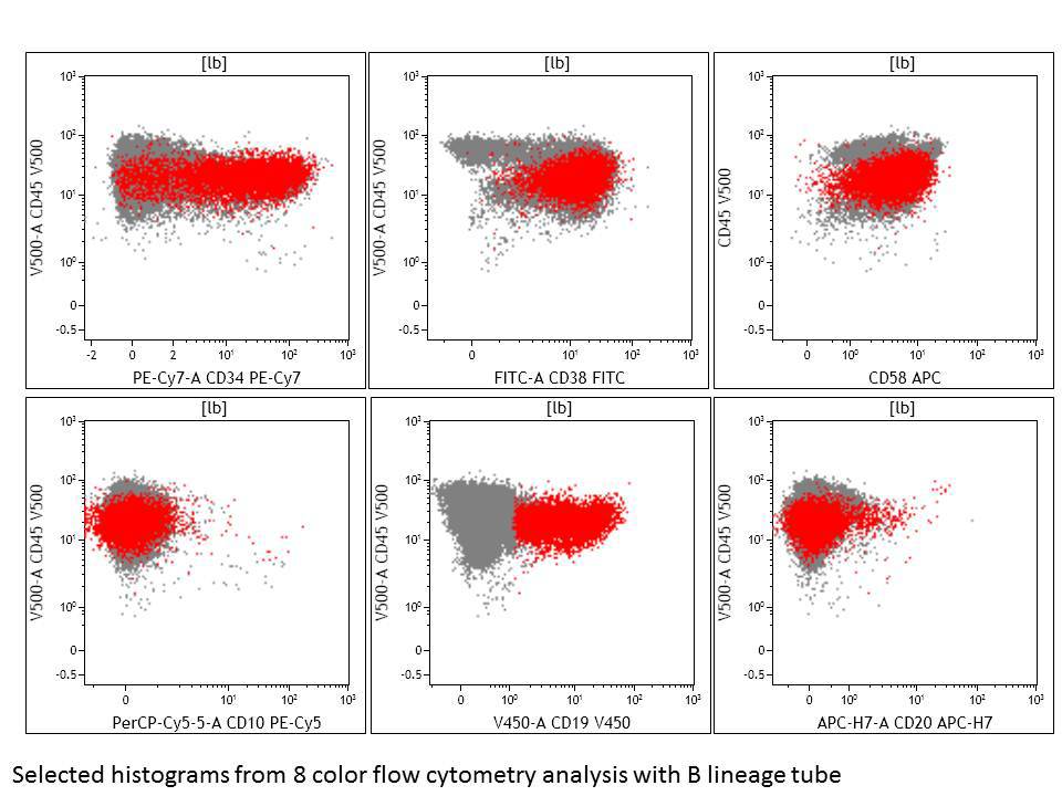 Flow cytometry 8 color B lineage tube